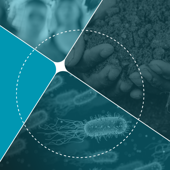 AMR Seminar: Interdisciplinary approaches to antimicrobial resistance